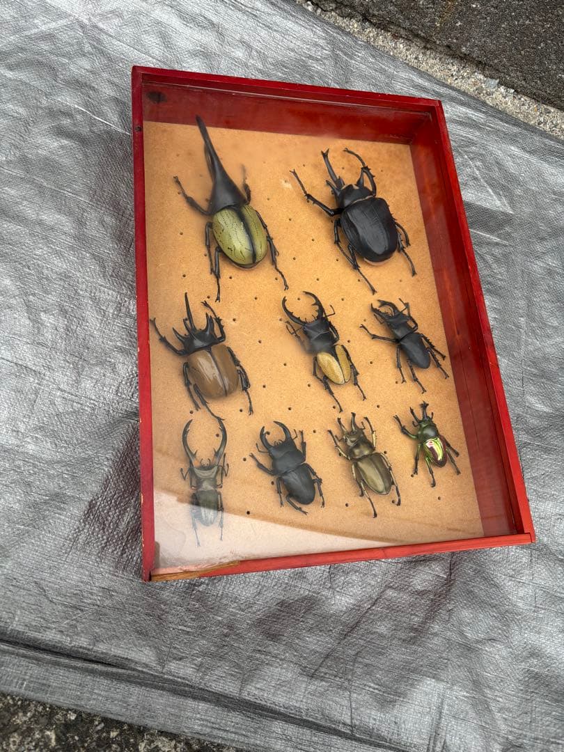 昆虫フィギュアセット 全　9種
