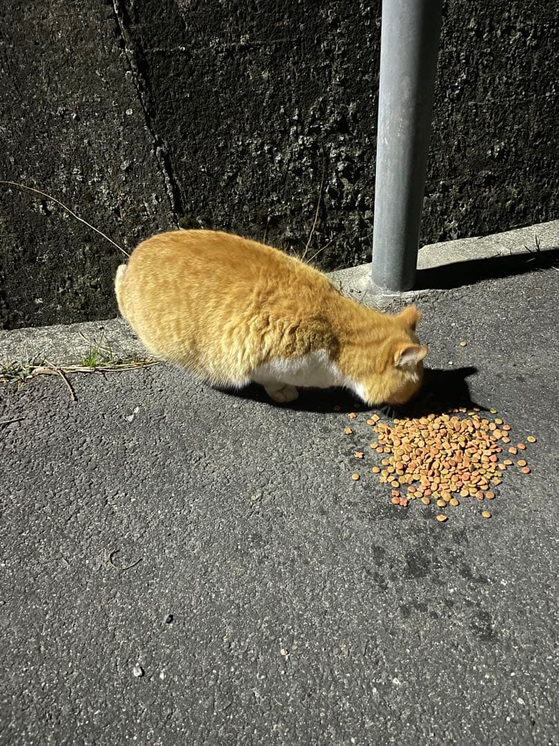 みいめいさん