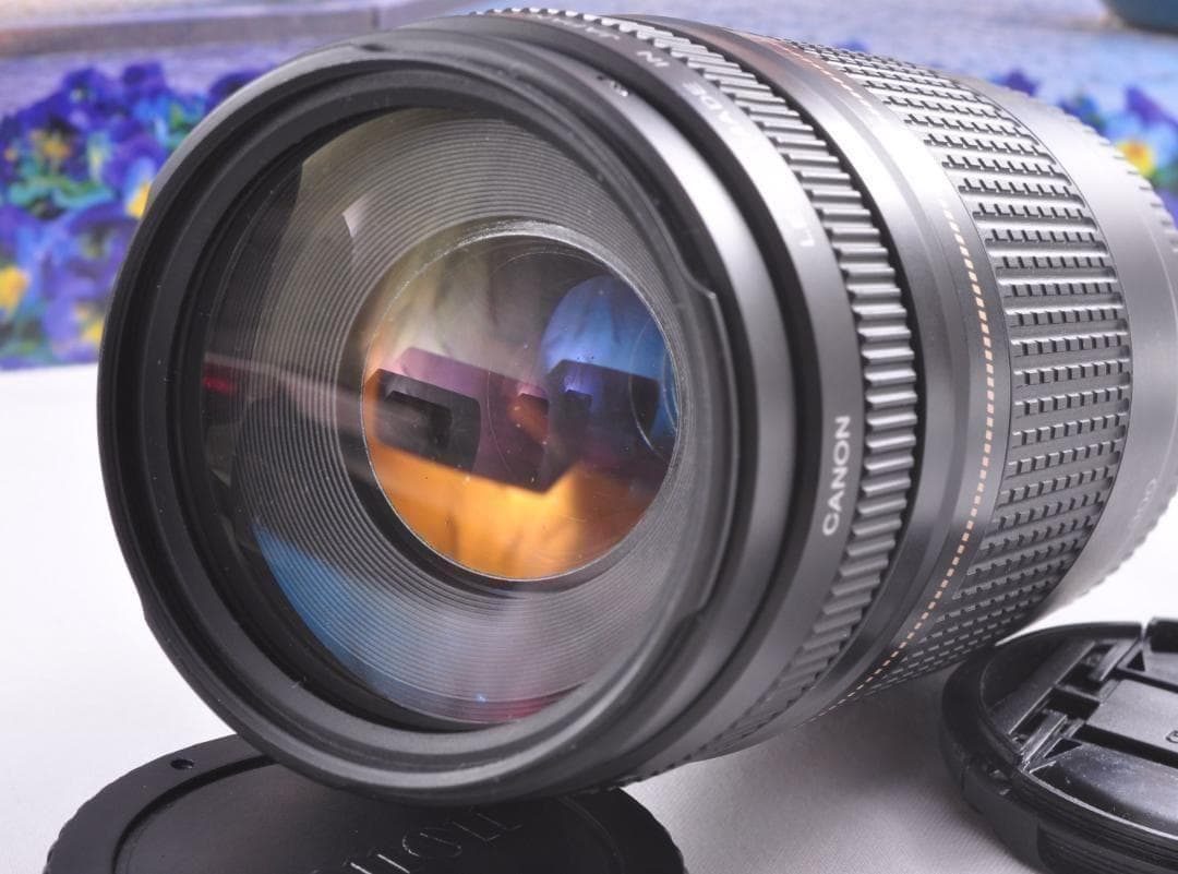 望遠レンズ Canon キヤノン 迫力の75-300mm レンズフード付き！