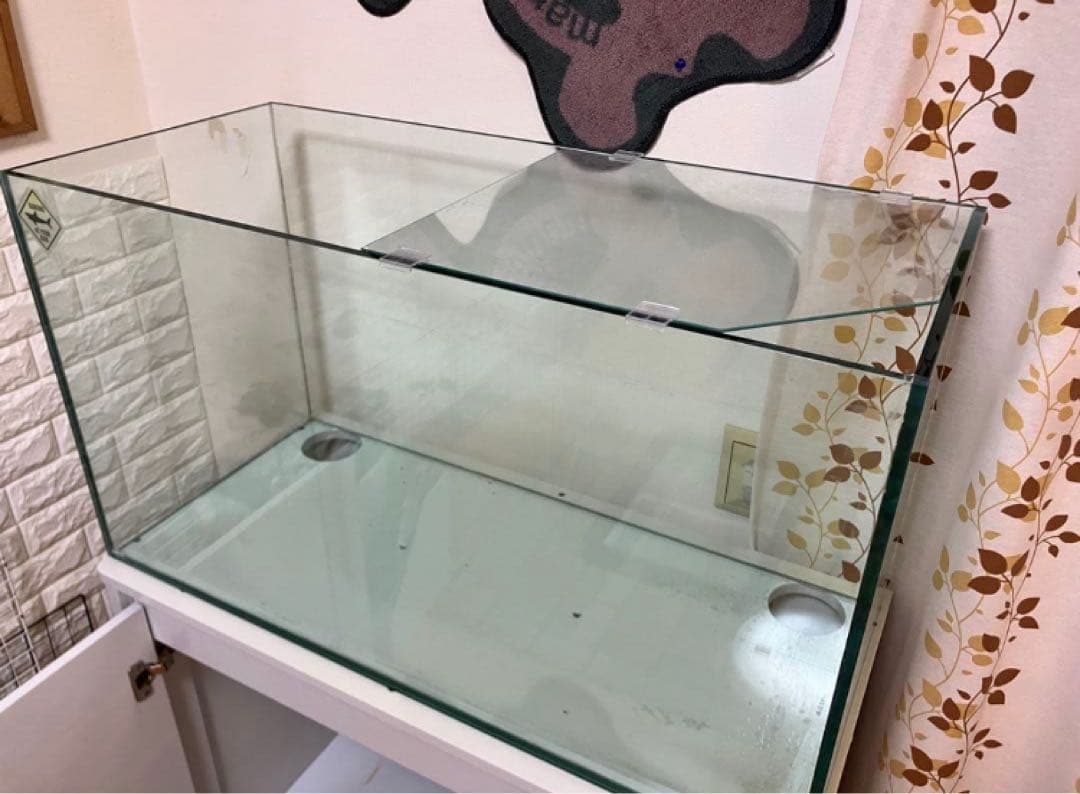 【送料無料】海水魚 淡水魚★GEX90cm/水槽台/LEDライト★他一式
