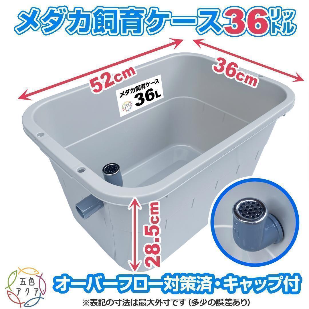 メダカ飼育ケース 36㍑x4個（薄灰・深緑・水色あり）大雨対策付 金魚鉢飼育容器