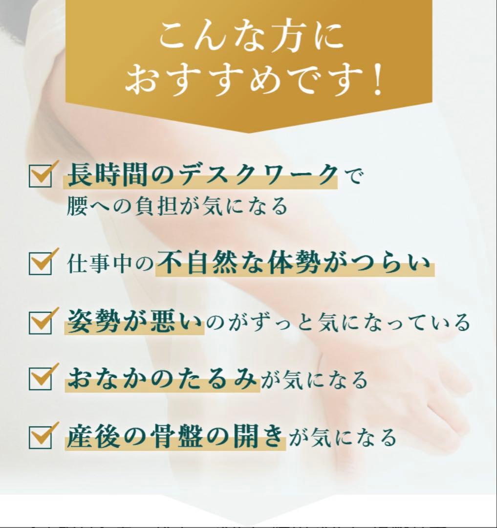 GUARDNER メッシュ腰痛ベルト Mサイズ　正規品