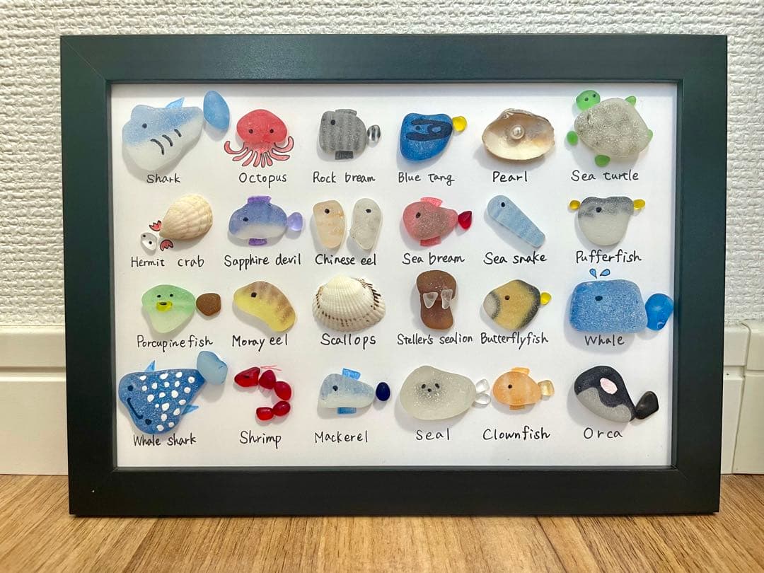 24種シーグラスアートNo401図鑑　海の生き物　インテリア　ギフト　プレゼント
