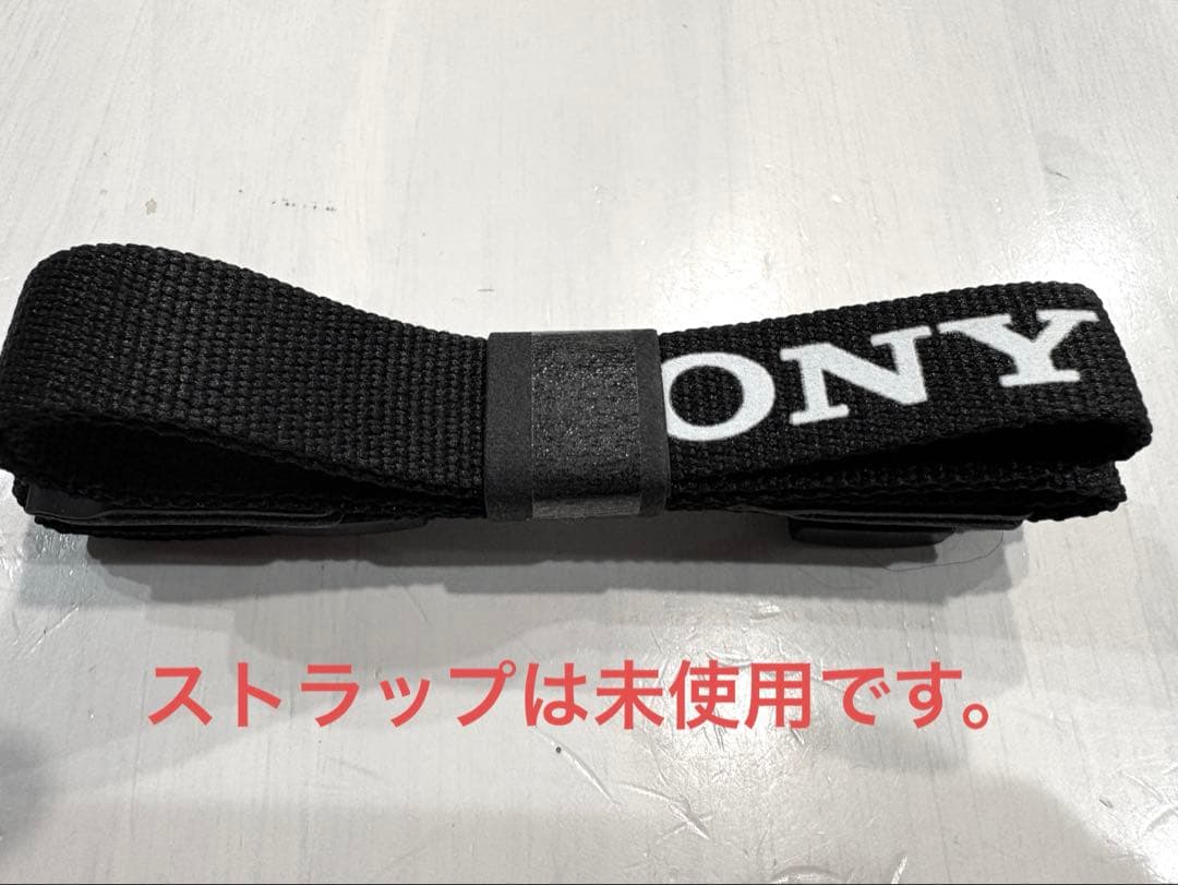 【使用3ヶ月】Sony ZV-E10 II