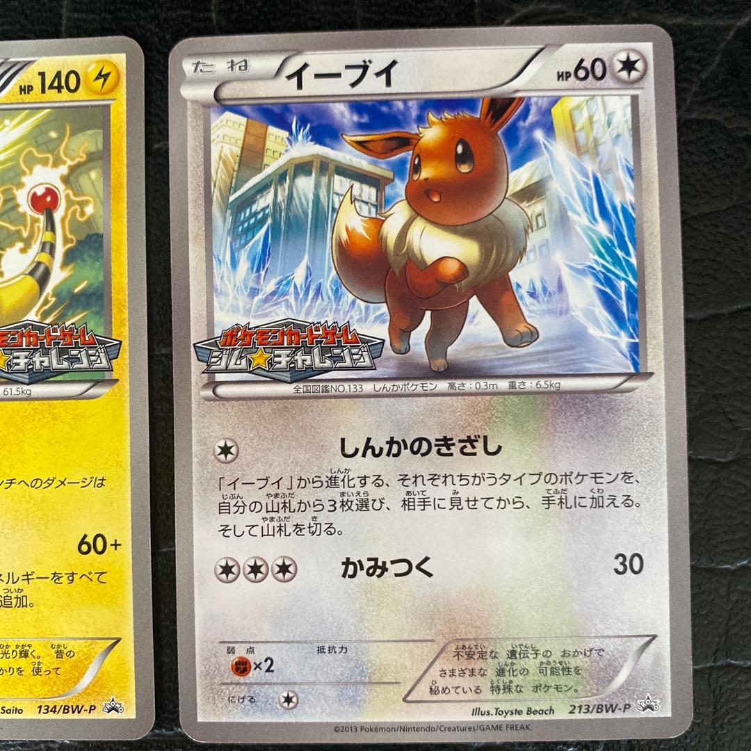 ポケモンカードセット　BW-P ジムチャレンジ　プロモ　イーブイ他