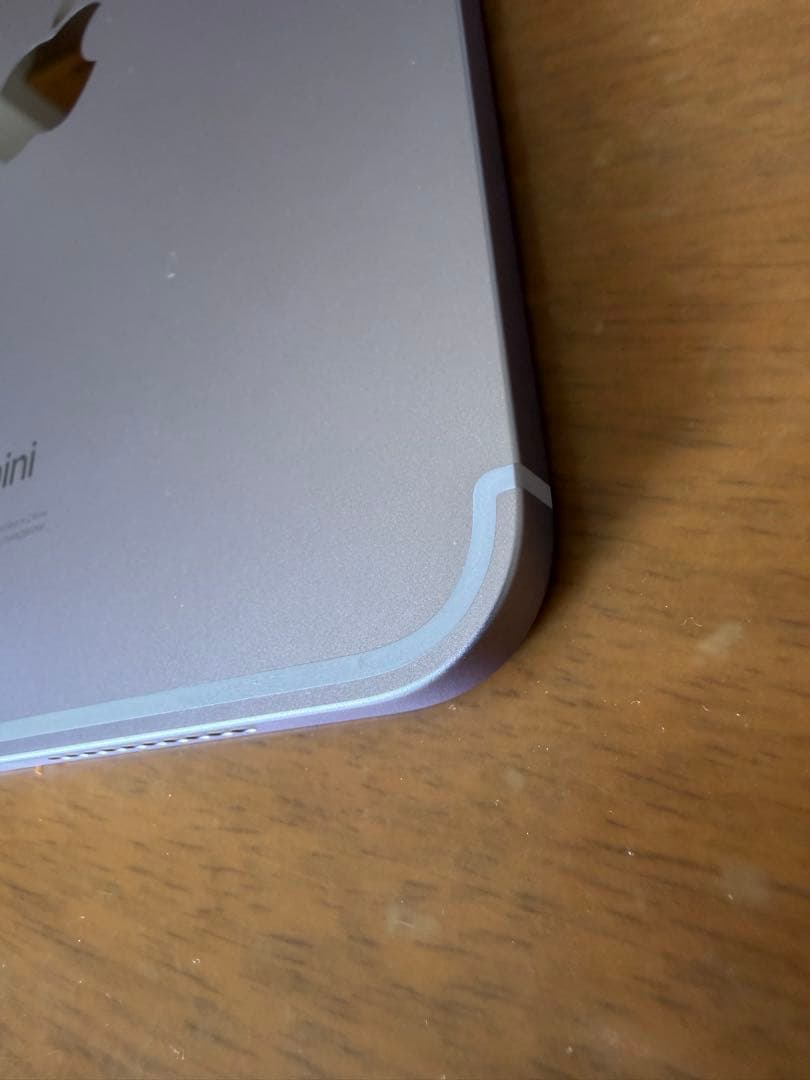 iPad本体 Apple iPad mini A17 Pro 128GB Cellular
