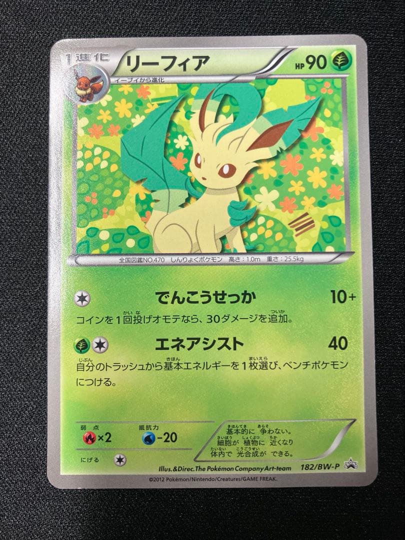 イーブイコレクション　ファイル