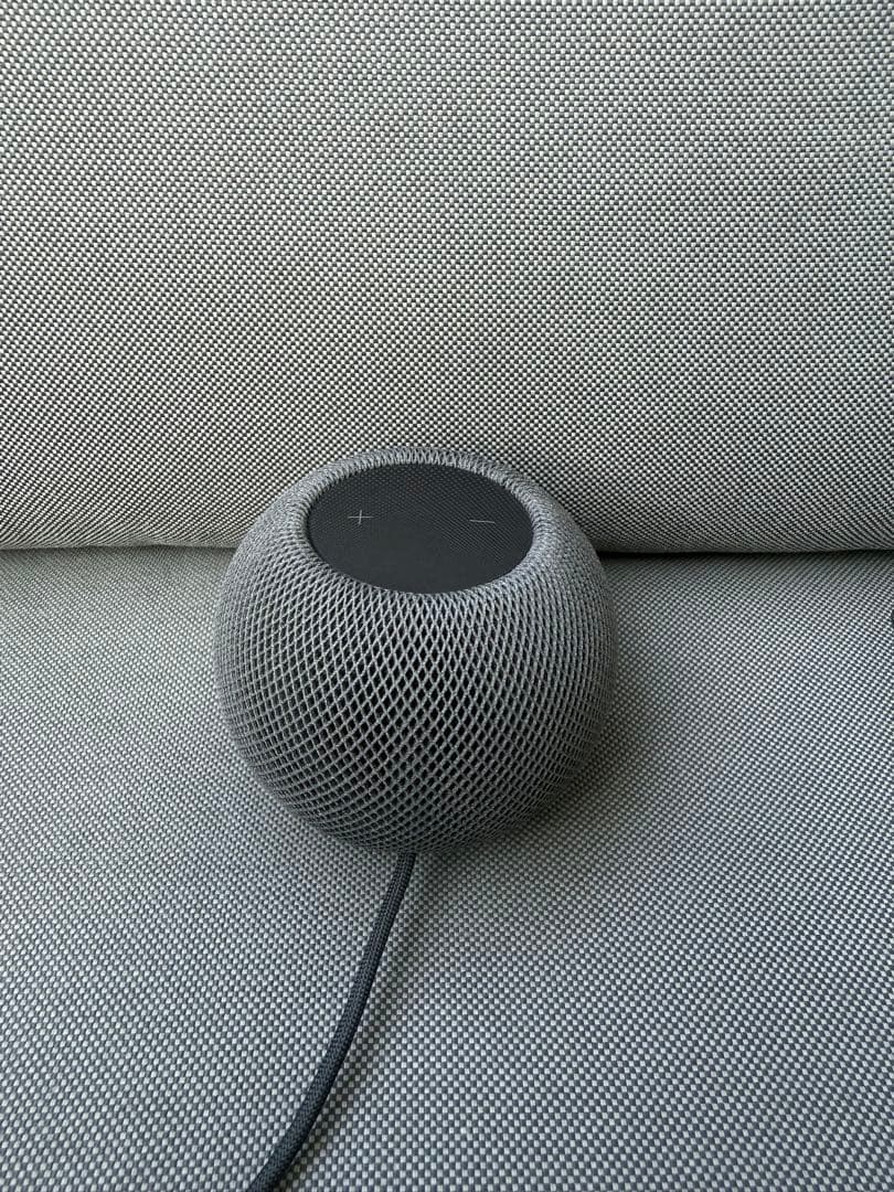 Apple Pod mini（黒）