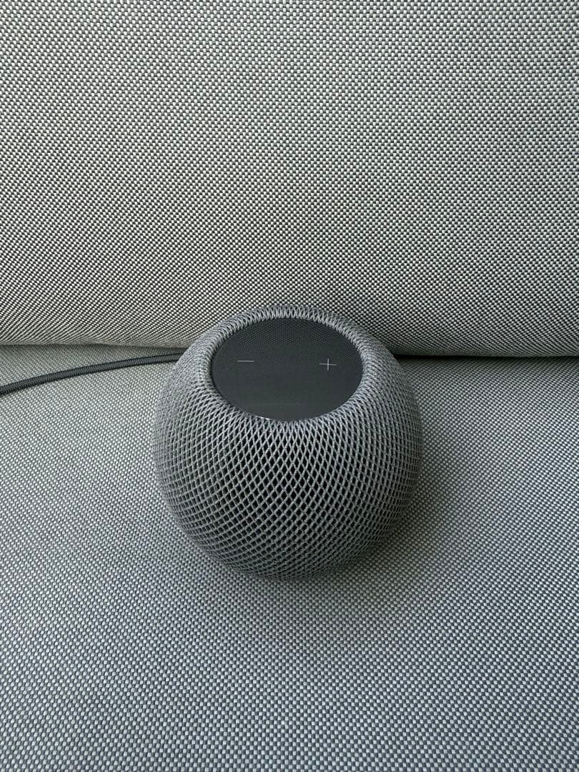 Apple Pod mini（黒）