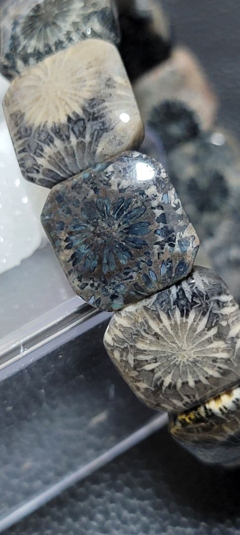 花火のようにかっこいい フォッシルコーラル。バングル （珊瑚の化石）