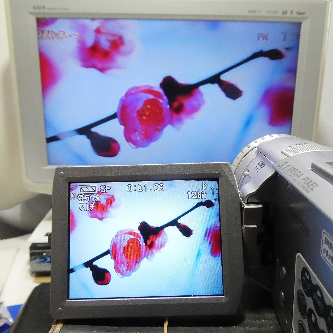 動作良好 パナソニック NV-GS100 MiniDVビデオカメラDVD化に最適