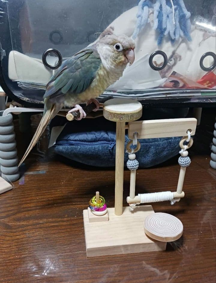 gc18　ミニアスレチック　止まり木　バードトイ　フォージングトイ　文鳥　インコ