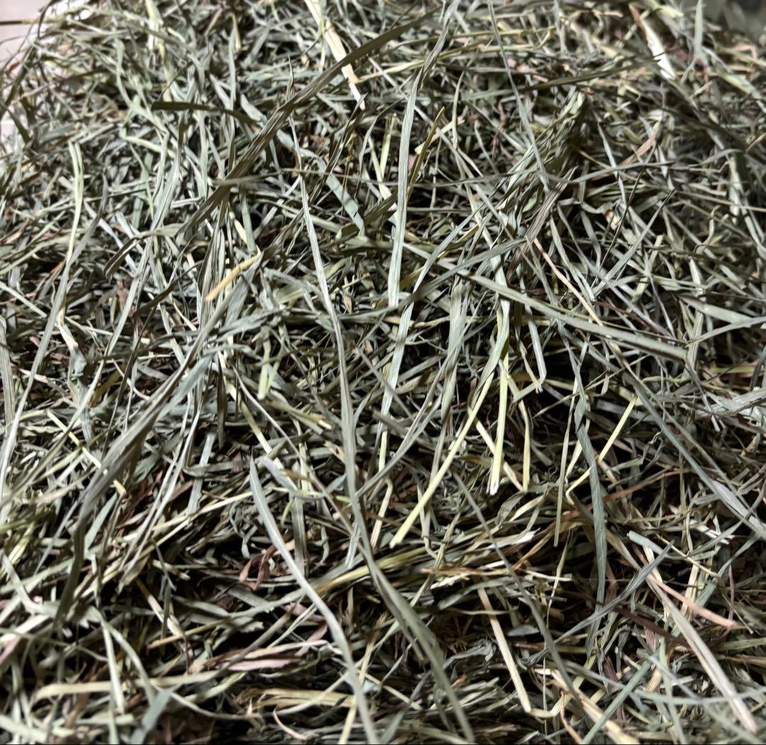 USA産チモシープレミアムウルトラソフト 10kg 圧縮　無選別