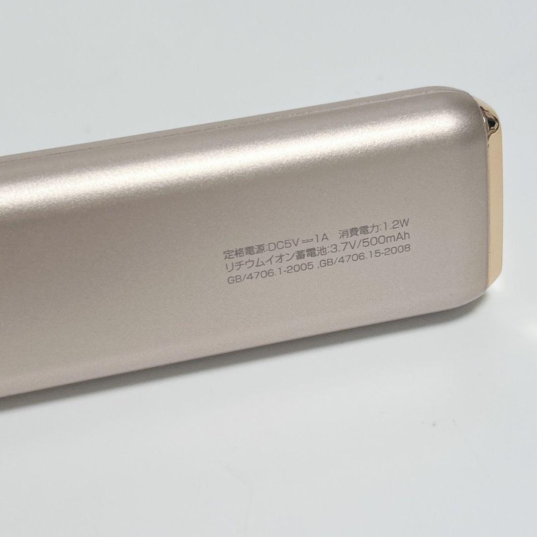 EMS美顔器 電気ブラシ LED美容 9段階調節 防水 リフトケア USB充電