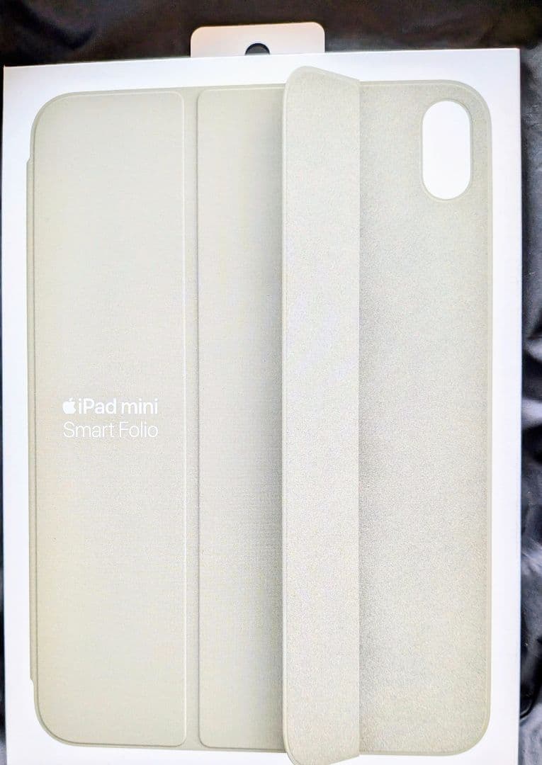 未開封 iPad mini (A17) 512 Wi-Fi +セルラー＆ケース