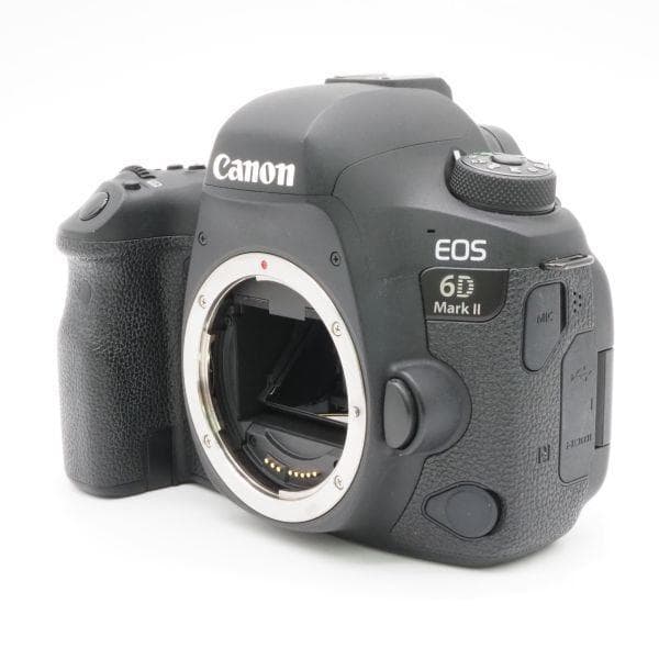 ショット数18,830！■ほぼ新品■CANON EOS 6D Mark II
