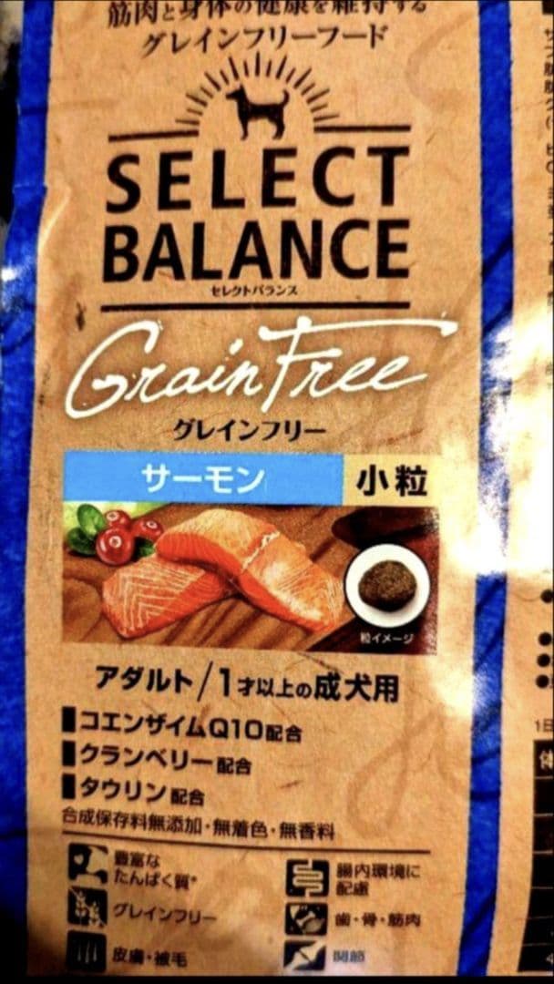 セレクトバランス グレインフリー アダルト サーモン 成犬用 10kg