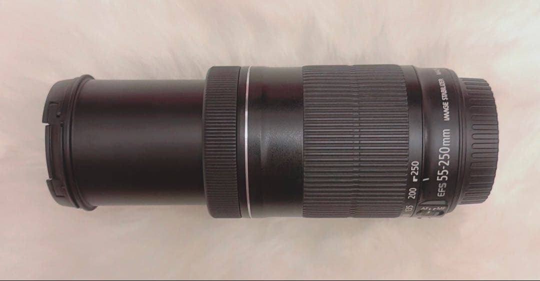 Canon EF-S 55-250mm F4 IS STM 望遠 ズーム レンズ