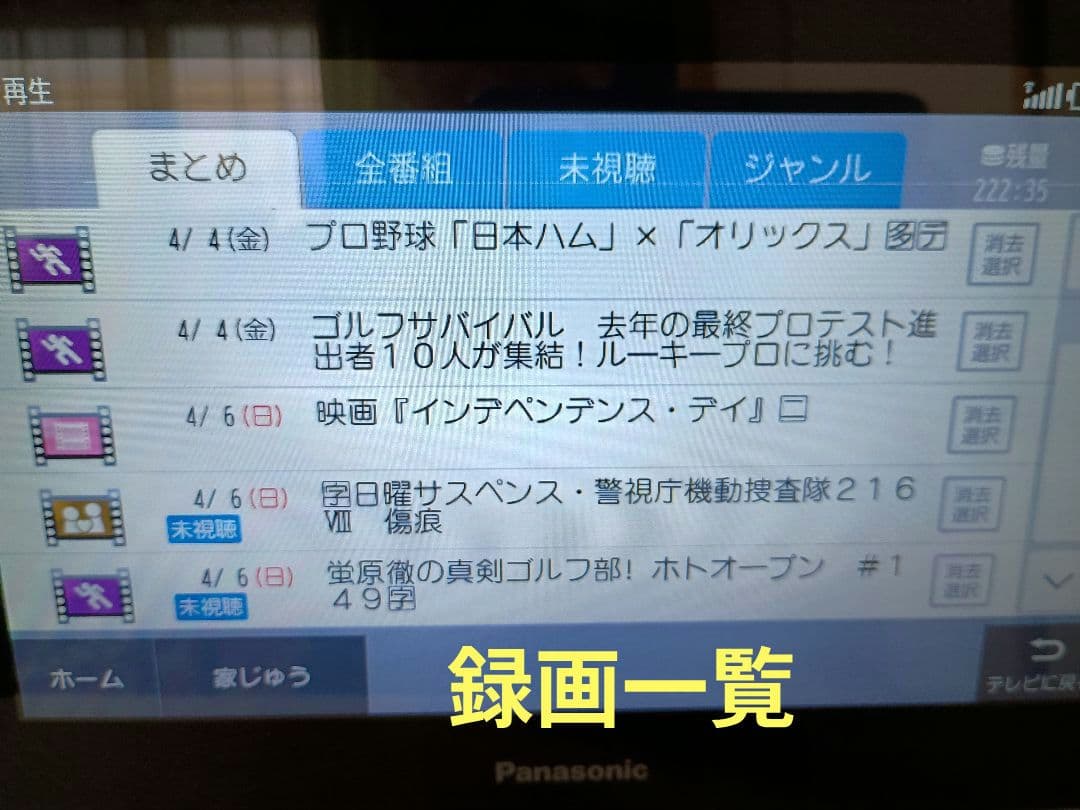 Panasonic プライベート・ビエラ 10型
