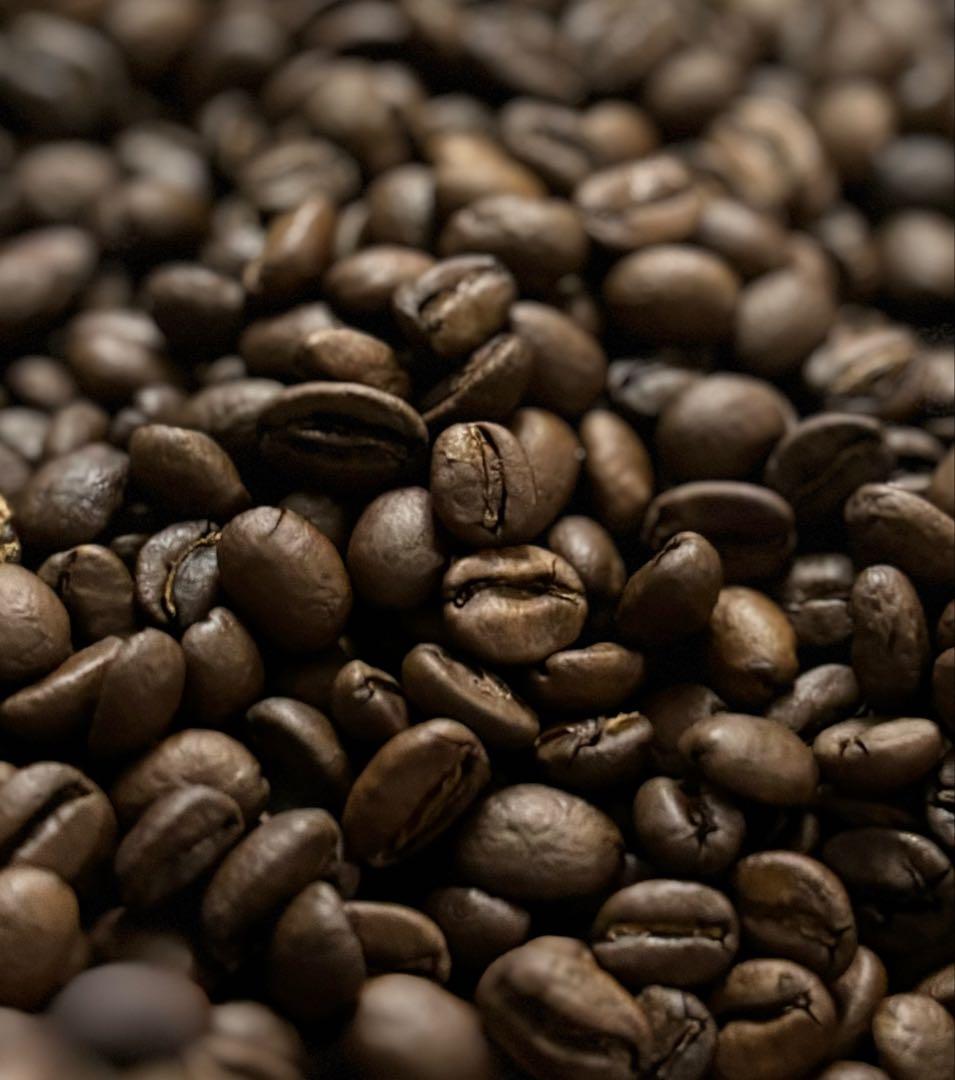 自家焙煎コーヒー豆　エチオピア　ゲイシャ　600g、ケニア 中深煎り　400g