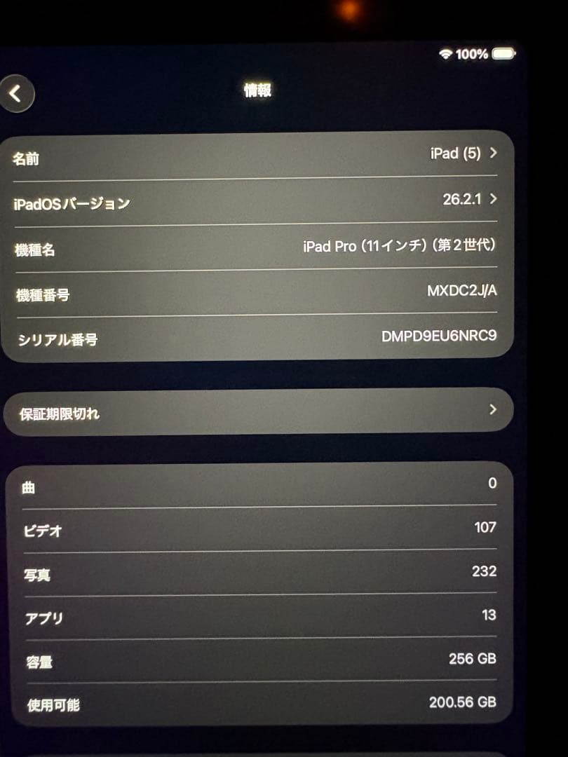 【たいおさん専用】iPad Pro11インチ第二世代256GB
