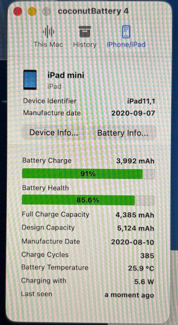 【美品】iPad mini5 64GB スペースグレー A2133 箱付属品完備