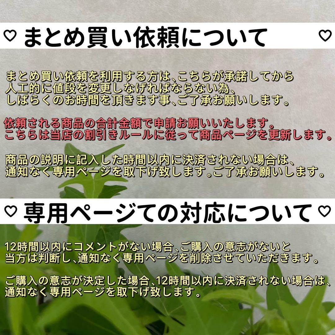 8Many様 リクエスト 3点 まとめ商品　アイスペンダントトップ　リボンピアス