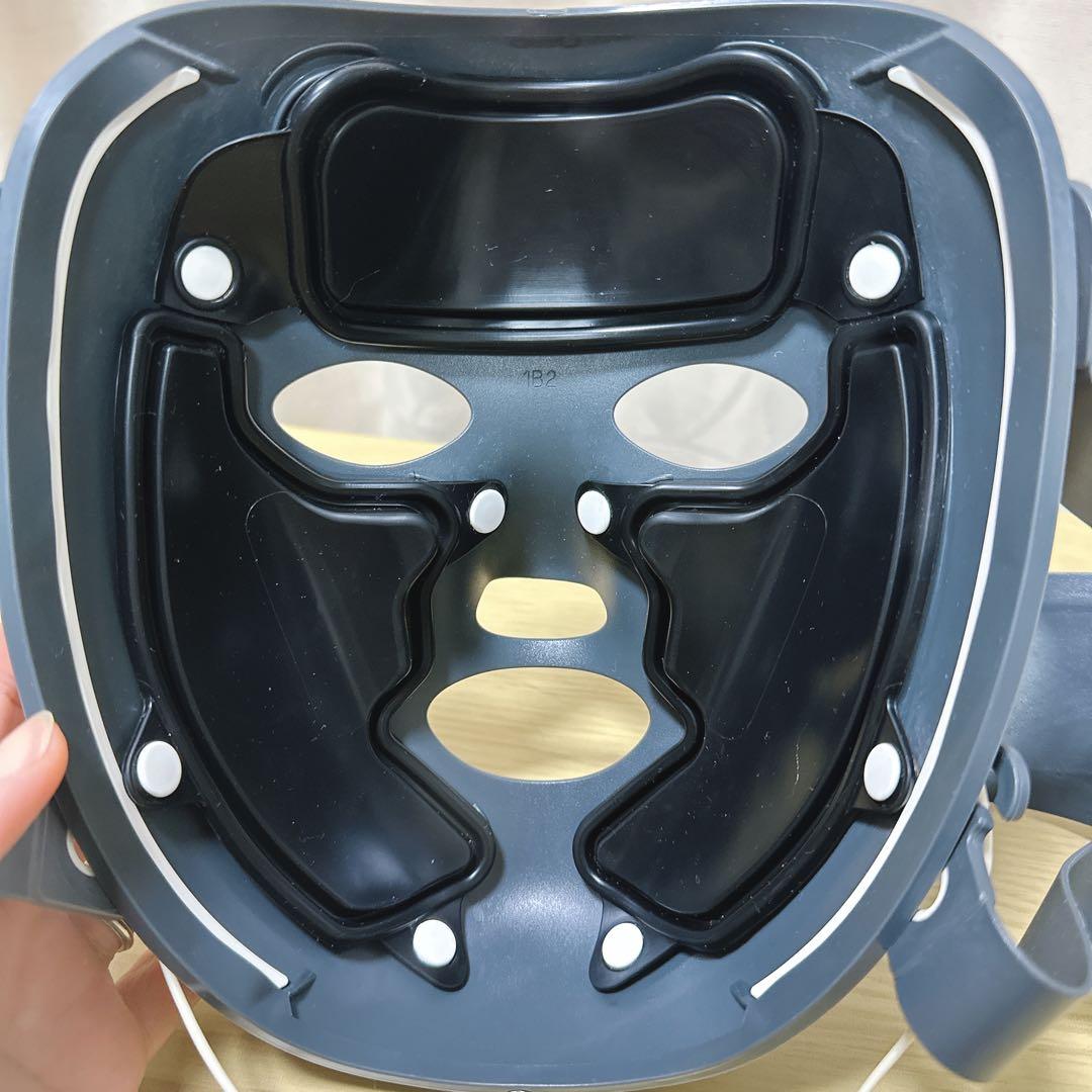【説明書あり】モイスティーヌ　スキンマスク