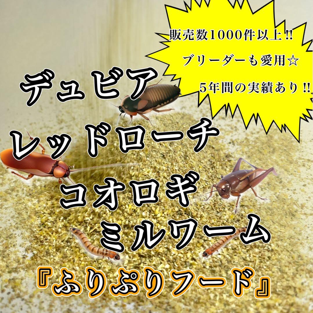 ねこやなぎ様　3kg (1kg梱包)(デュ)