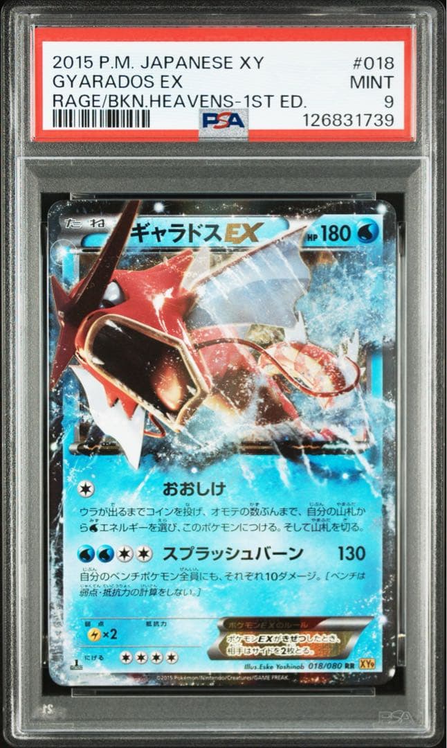 PSA ギャラドスEX RR :1ED