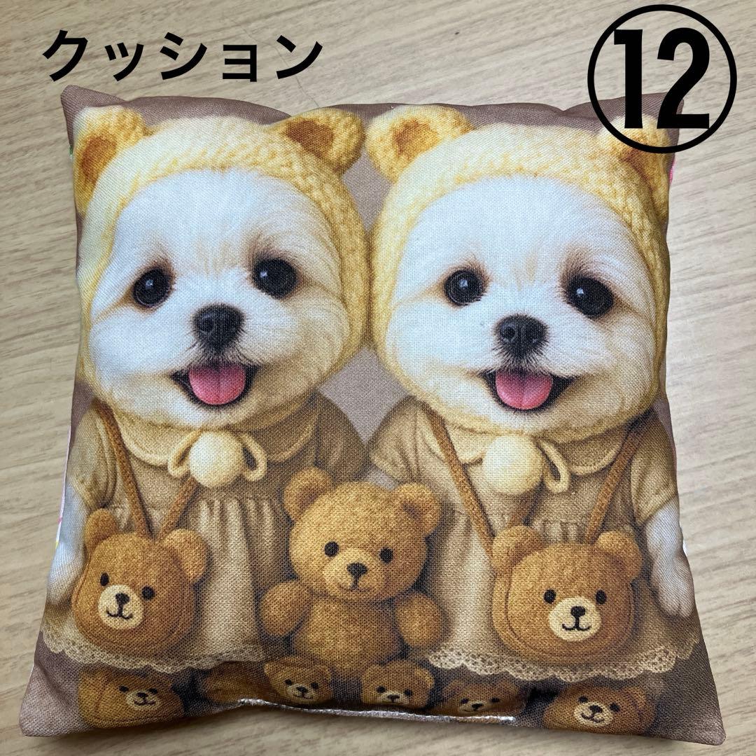 確認用　プレゼント
