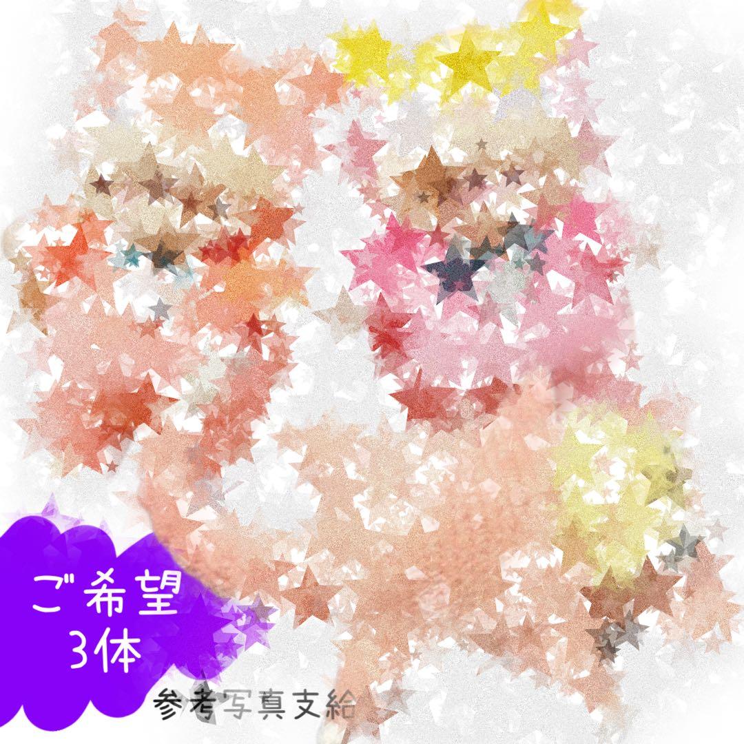 オーダー★あみぐるみ★3体