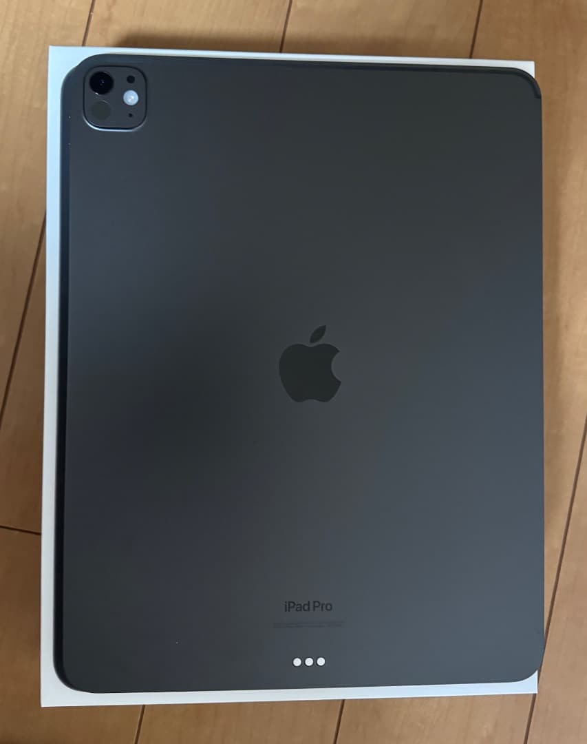 【美品】13インチ iPad Pro Wi-Fi 256GB スペースブラック