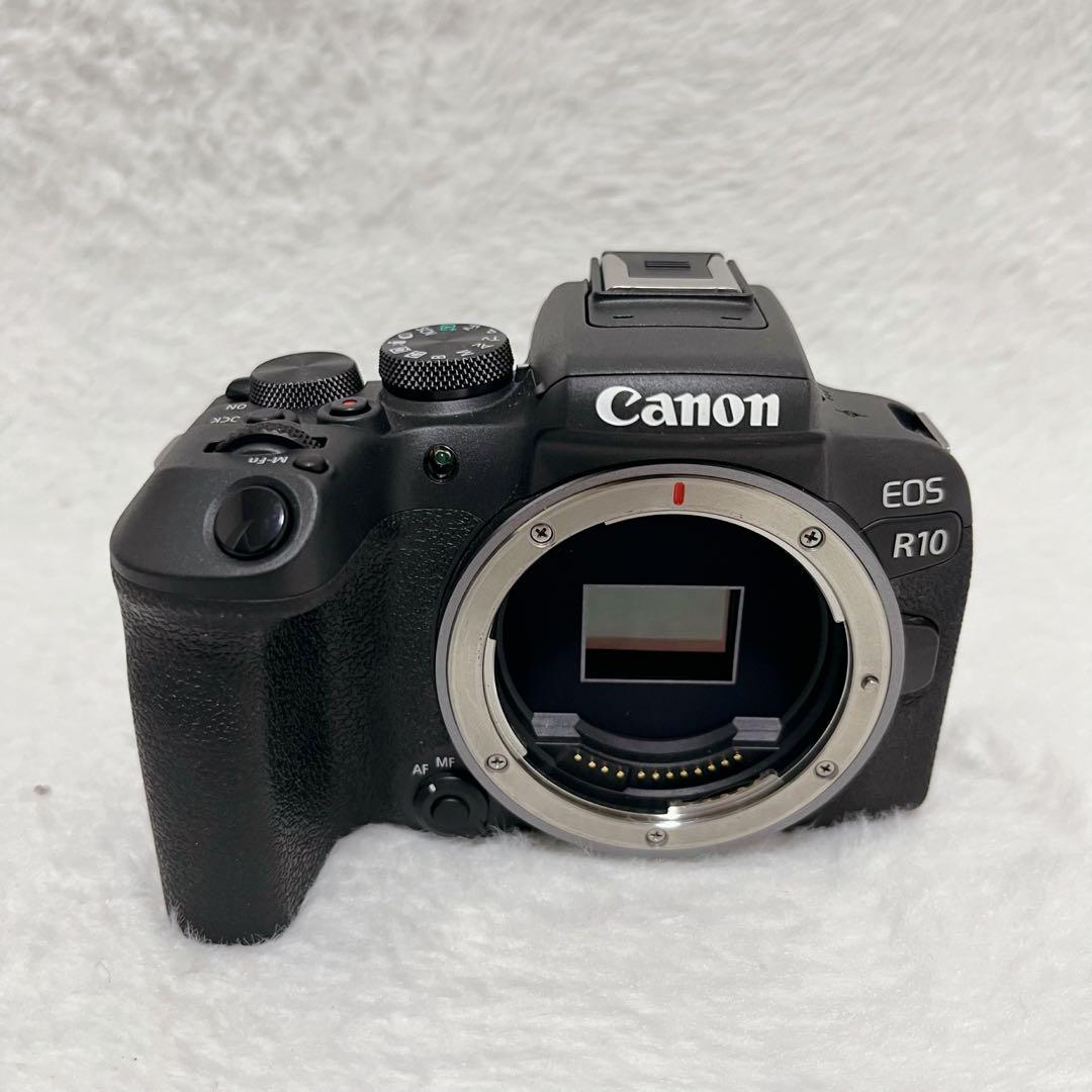☆美品☆ canon EOS R10 本体　【ボディ】