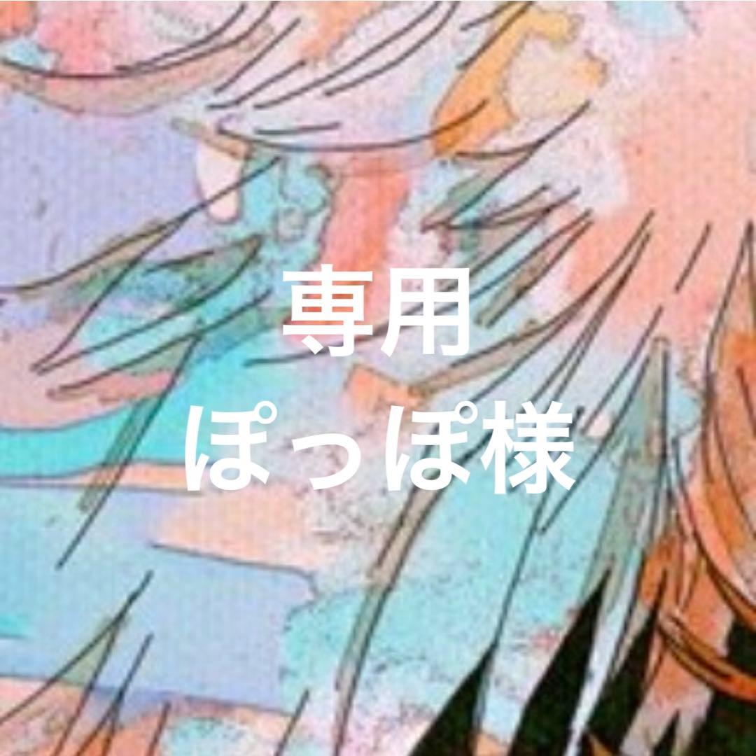 専用ページ ぽっぽ様