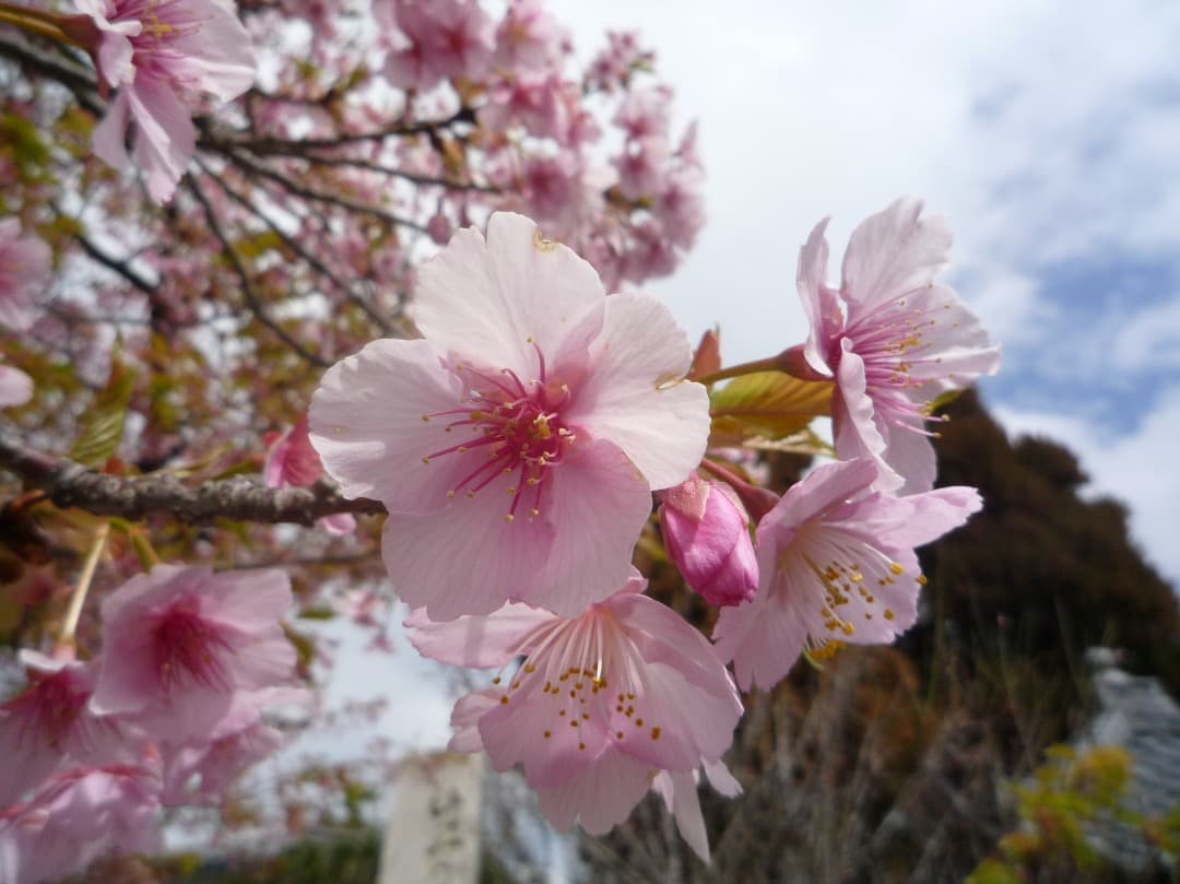 実写美⭕️極美品【動作確認済】Pnasonic LUMIX DMC-FX35