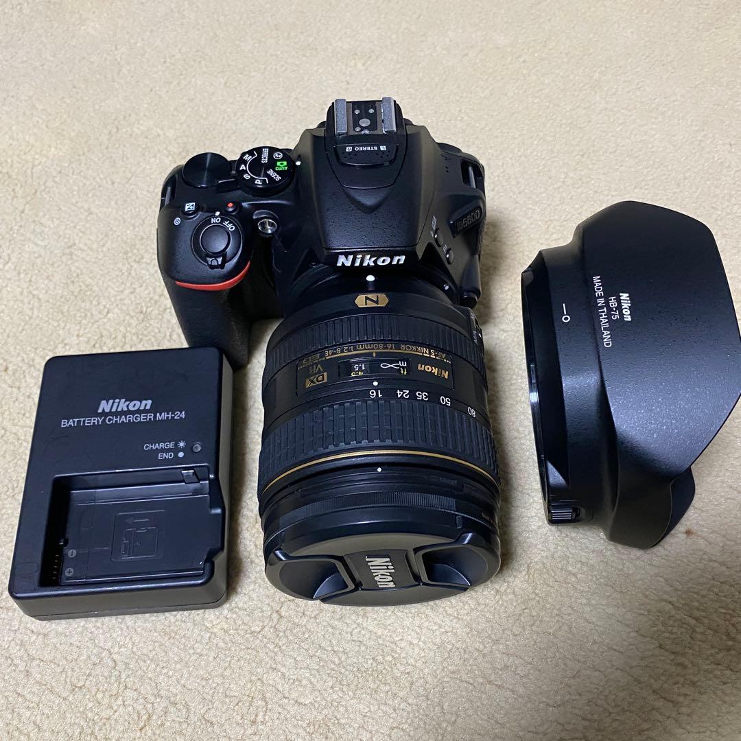 【美品】 Nikon D5600+AF-S 16-80mm f2.8-4 VR
