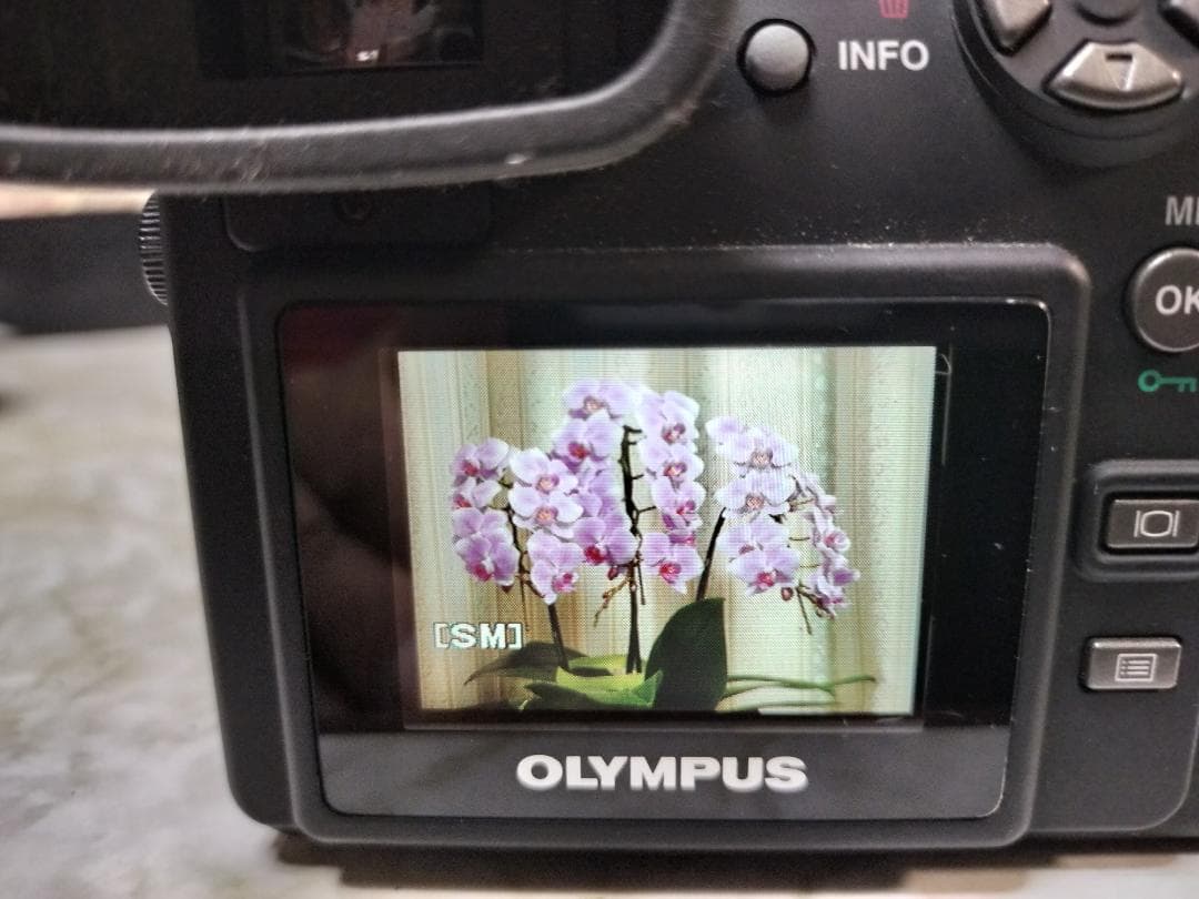 【希少/動作品】伝説の「瞬間の魔術師」OLYMPUS E-100RS フルセット
