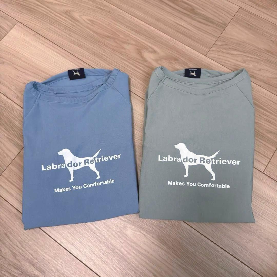 ラブラドールレトリバー 大型犬用 Tシャツ 37.5 ライトブルー