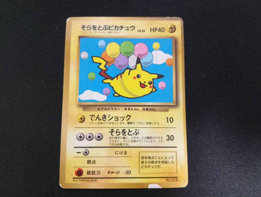 そらをとぶピカチュウ_ANA 「ジェットでゲットだ！Wチャンスキャンペーン」 プ