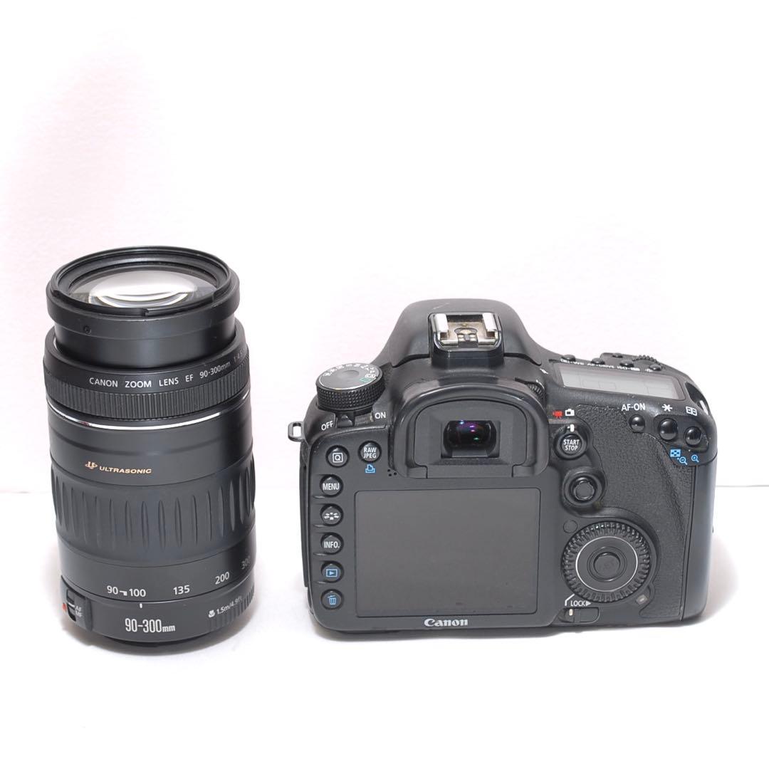 ✨スポーツ観戦に✨Canon EOS 7D✨シングルレンズ✨超望遠レンズデビュー