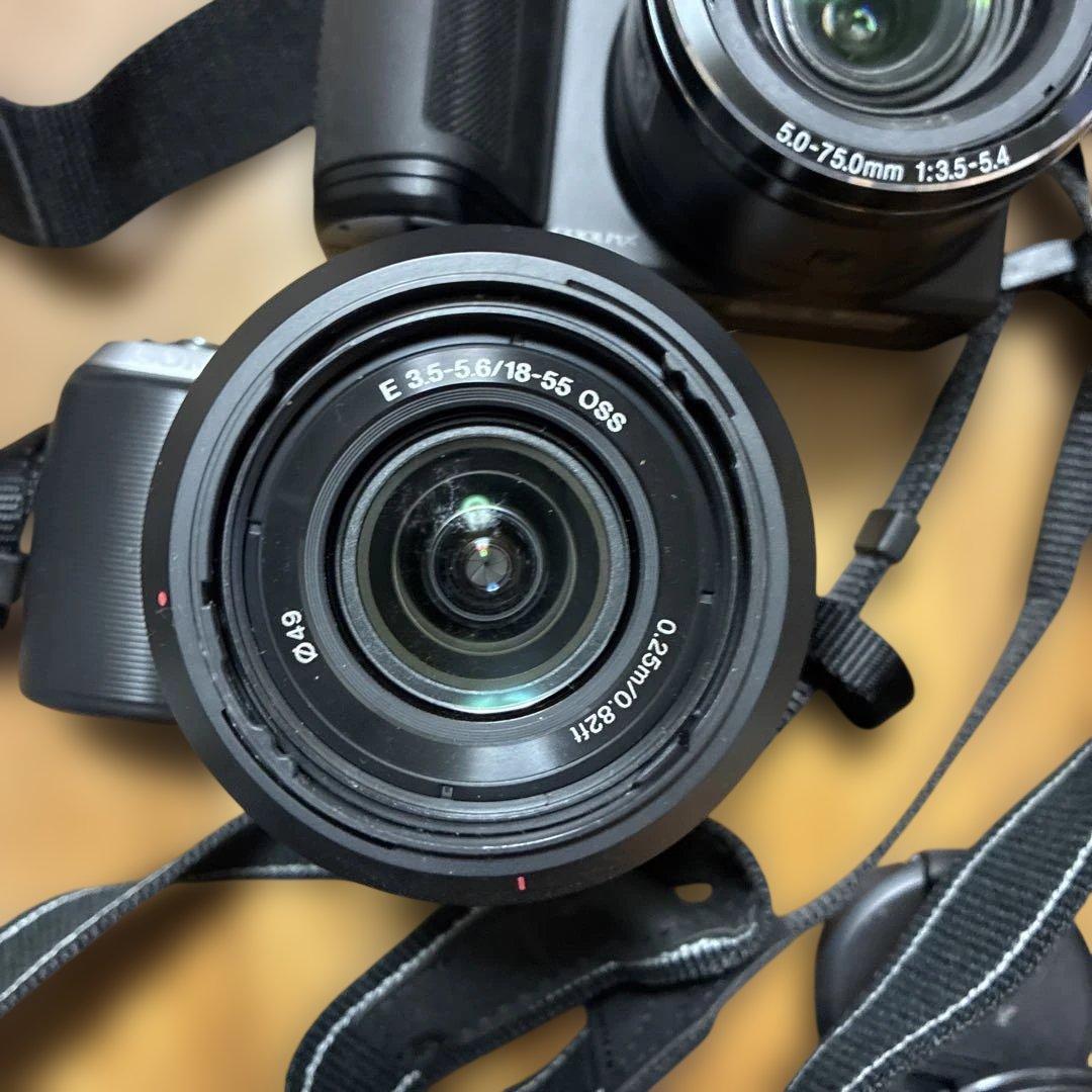 Nikon Sony デジタル一眼レフカメラセット