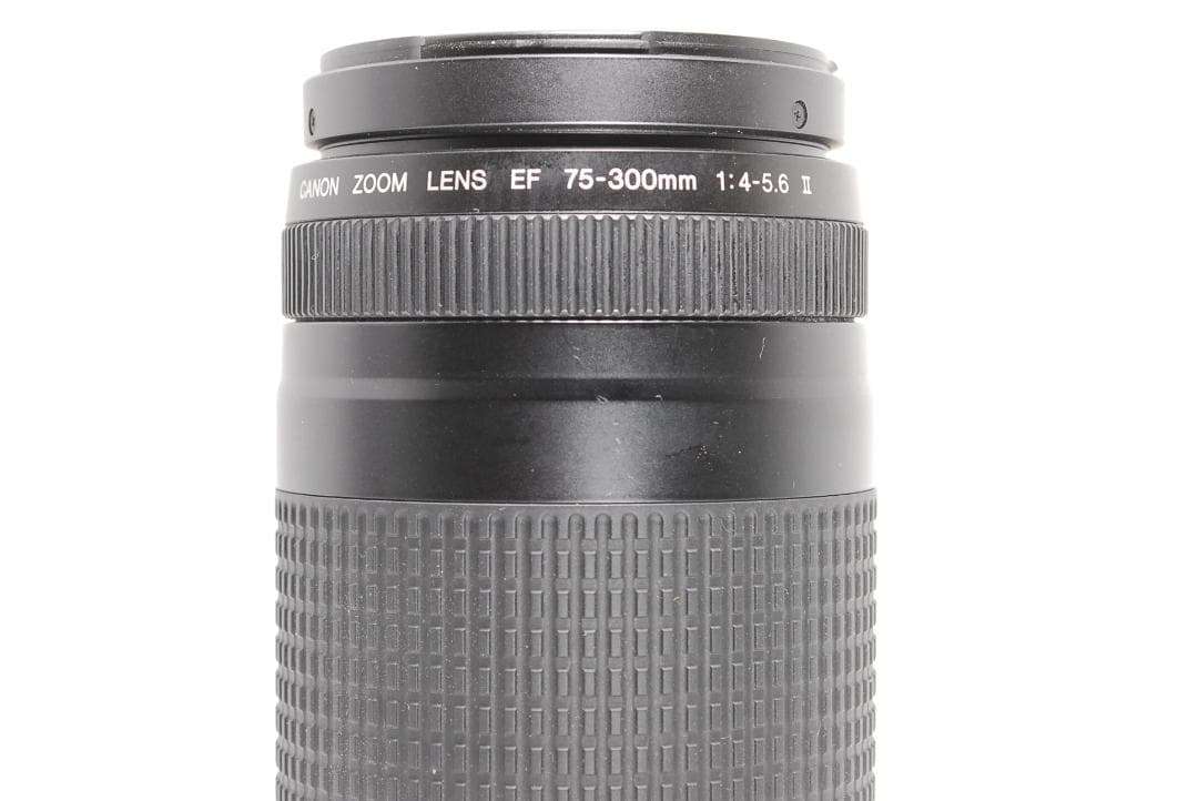 【作例あり】純正望遠レンズ Canon EF 75-300mm Ⅱ 動作良好