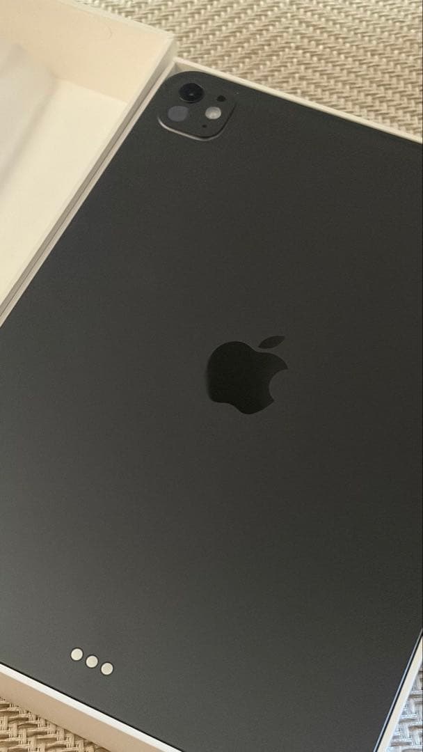 極美品 iPad Pro (M5) 11インチ 256GB スペースグレー