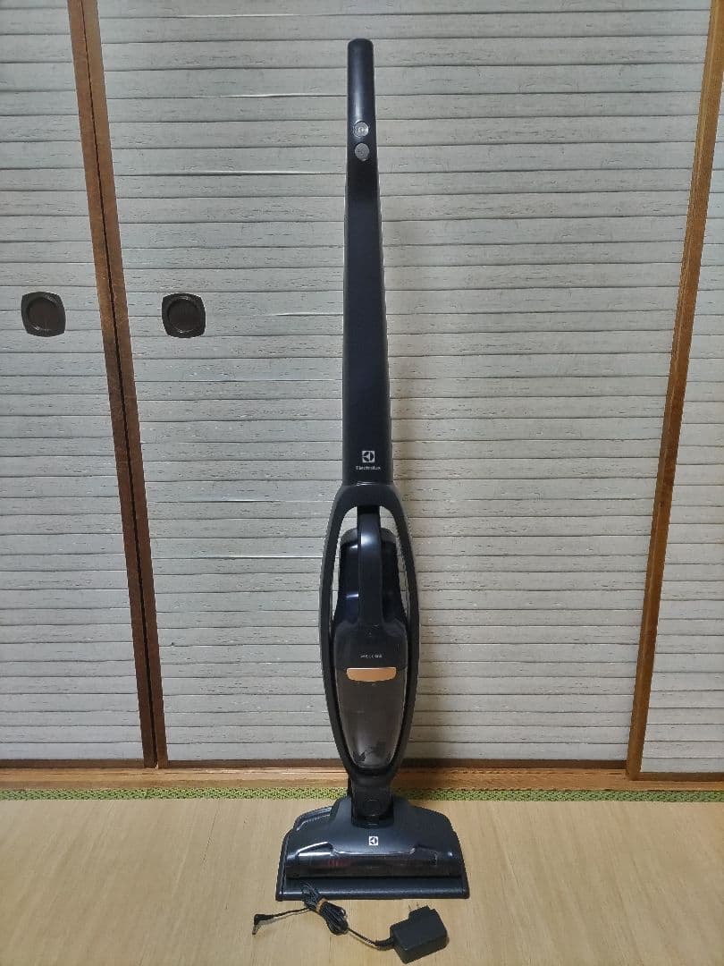 Electrolux 掃除機 WELL Q6 WQ61-10GG