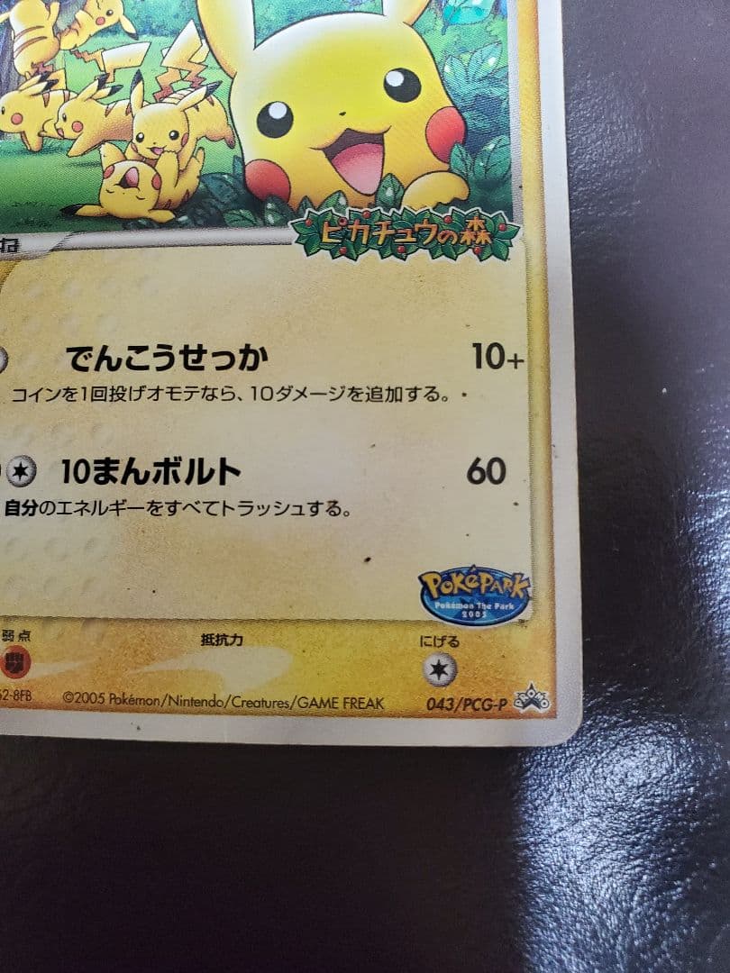 つ*ぎ様 ●ポケパークのピカチュウ●＜管理番号028＞