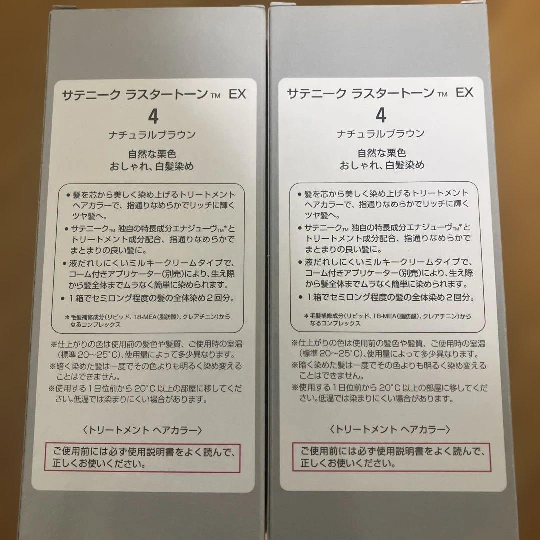 アムウェイ サテニーク ラスタートーン EX 4 ナチュラルブラウン　2個セット