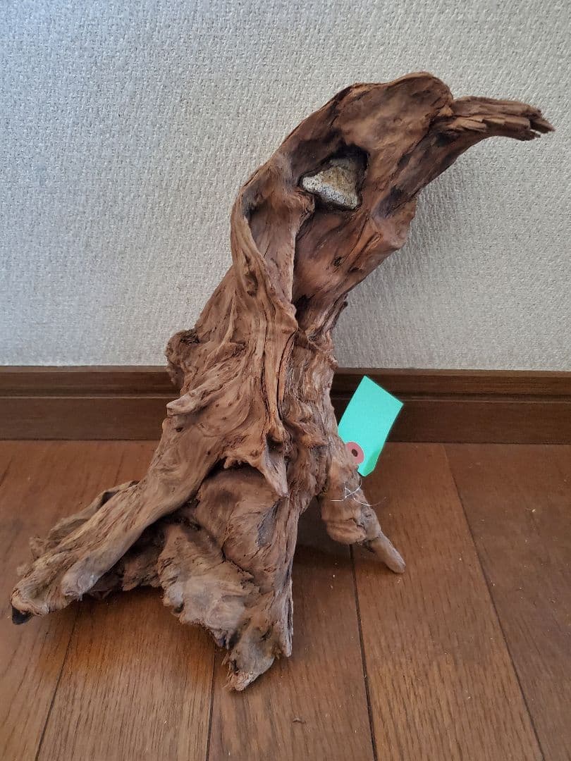源流木　セット　571