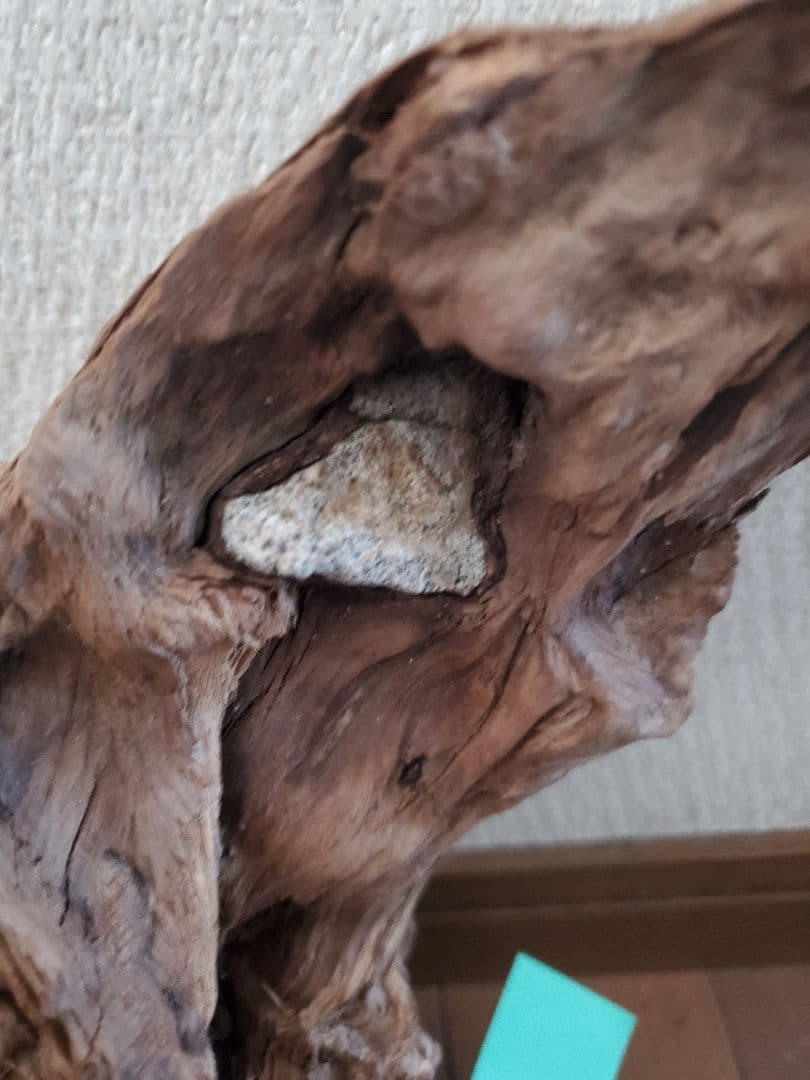 源流木　セット　571