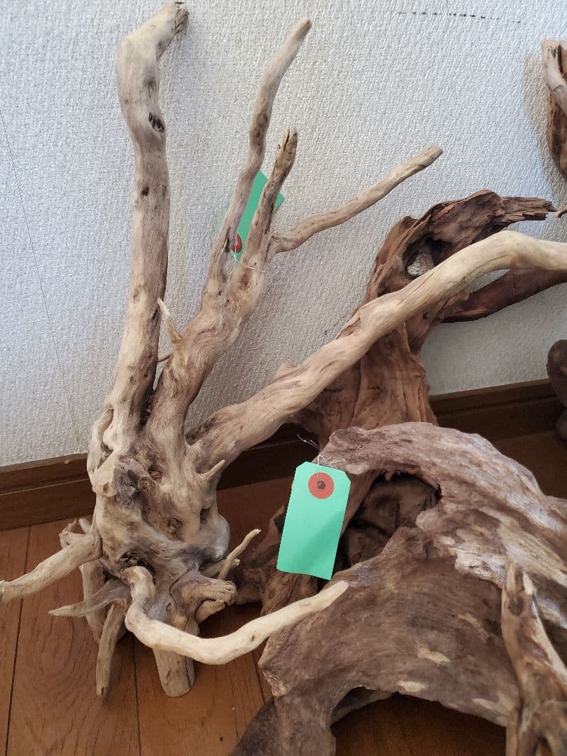源流木　セット　571